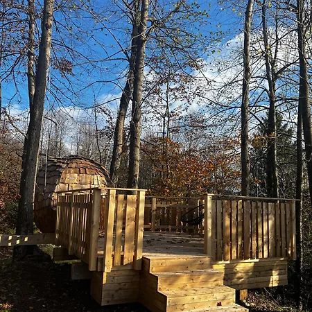 Luksusowy namiot T'glamp Bee House Rovte